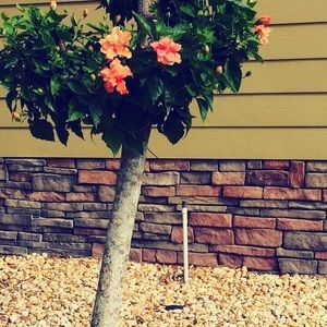 Meet your Posher, Caden